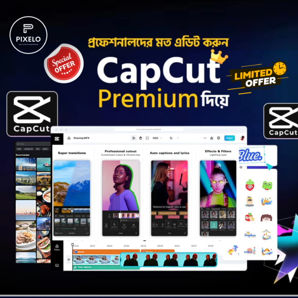 CapCut Pro